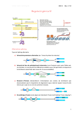 19Regulacio-genica-IV.pdf