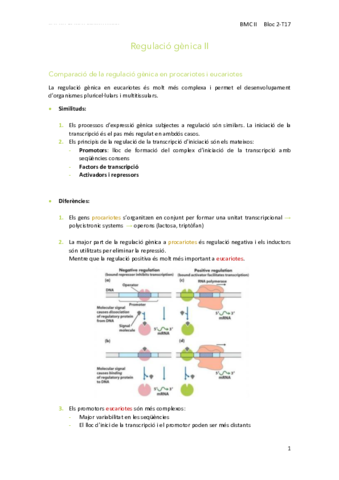 17Regulacio-genica-II.pdf