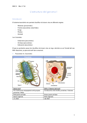 14Estructura-del-genoma-I.pdf