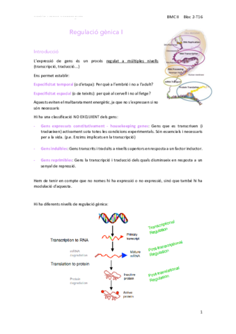 16Regulacio-genica-I.pdf