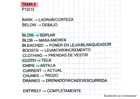 TEMA-5-VOCABULARY.pdf