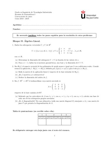 Final-Junio-Algebra.pdf