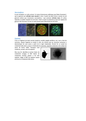 neurobio-34.pdf