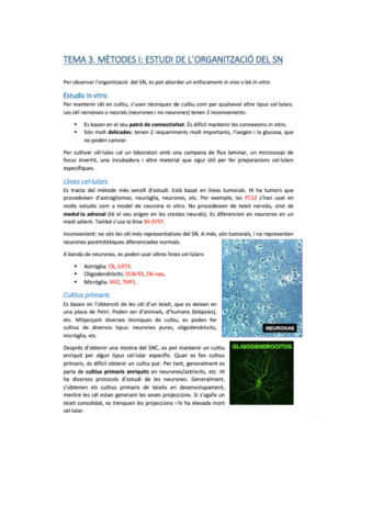 neurobio-33.pdf