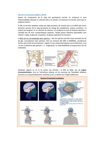 neurobio-26.pdf