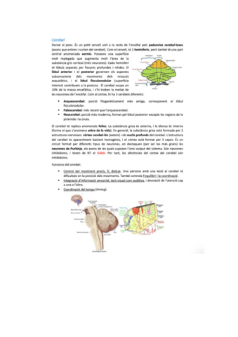 neurobio-29.pdf