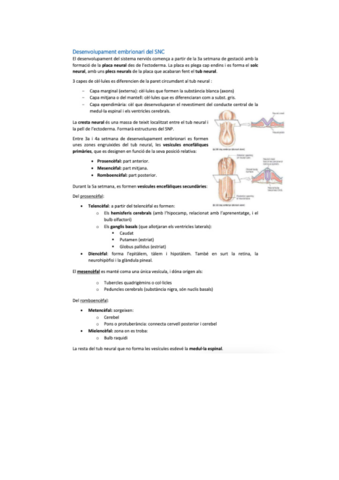 neurobio-23.pdf