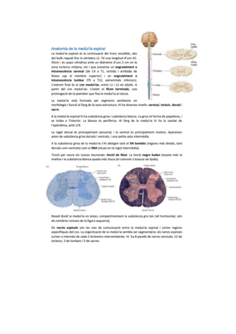 neurobio-27.pdf