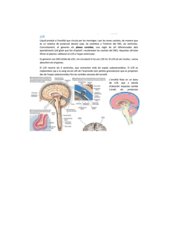 neuro-bio-25.pdf