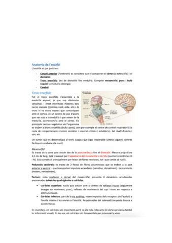 neuro-bio-28.pdf