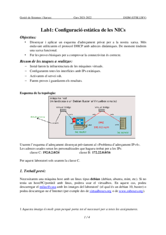 Lab1-NICs-estatiques-21-22.pdf