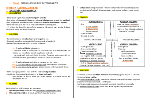 anatomia-cardio-final-1-2.pdf