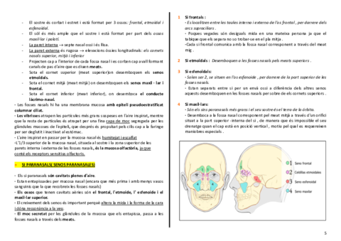 anatomia-cardio-final-5-6.pdf