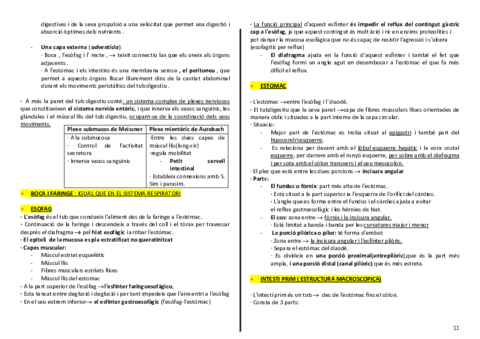 anatomia-cardio-final-11-12.pdf