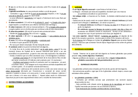 anatomia-cardio-final-13-14.pdf