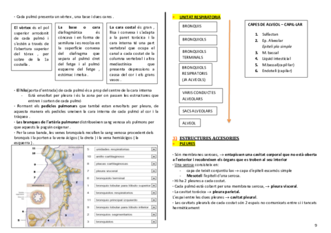 anatomia-cardio-final-9-10.pdf