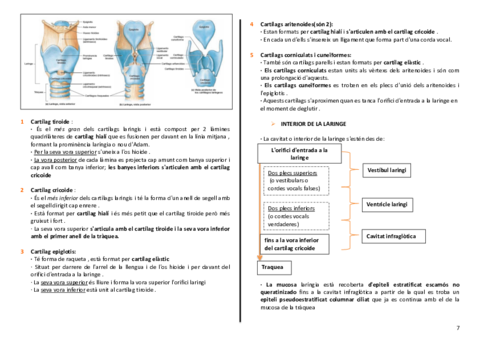 anatomia-cardio-final-7-8.pdf