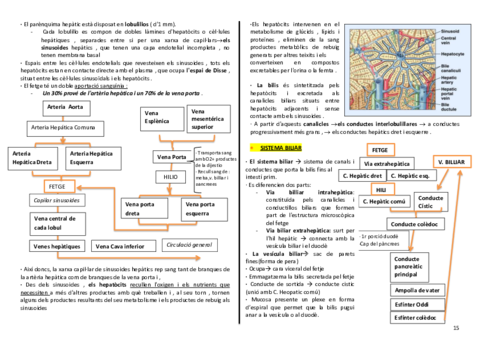 anatomia-cardio-final-15-16.pdf