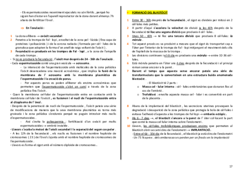 anatomia-urinari-17-18.pdf
