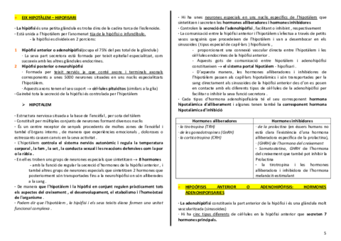 anatomia-urinari-5-6.pdf