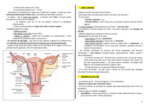 anatomia-urinari-9-10.pdf