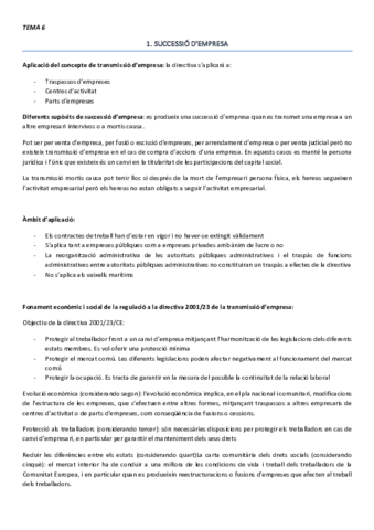 TEMA-6-DSC.pdf