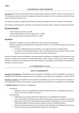 TEMA-1-DSC.pdf