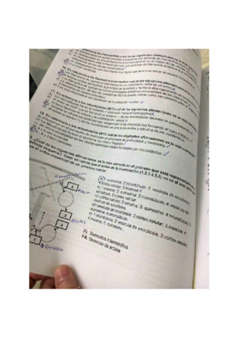 examen-bio-4.pdf