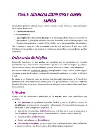 TEMA-3.pdf