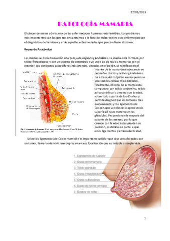 420-2014-02-27-Patologia-mamaria.pdf