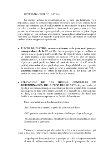 DETERMINACION-DE-LA-PENA.pdf