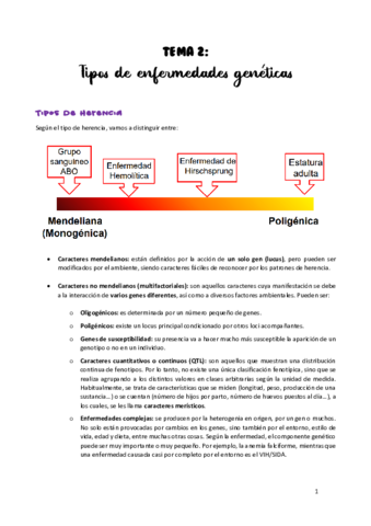TEMA-2.pdf