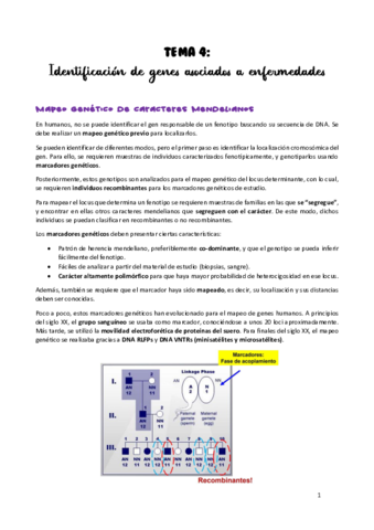 TEMA-4.pdf