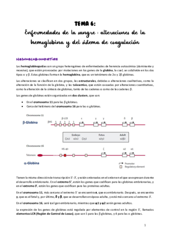 TEMA-6.pdf