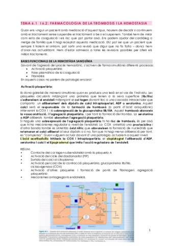 APUNTES-3er-parcial.pdf