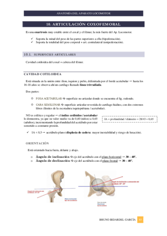 Miembro-inferior.pdf