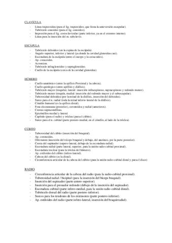 TG-Osteologia-huesos.pdf