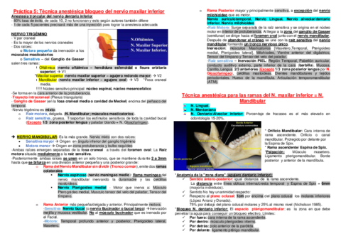 P5-Bloqueo-nervio-mandibular.pdf