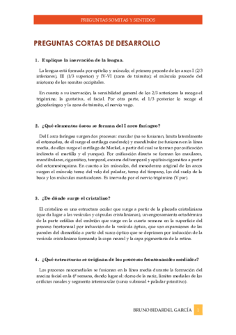 Preguntas-somitas-y-sentidos.pdf
