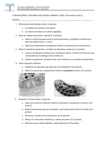 EXAMEN-3.pdf