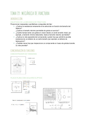 TEMA-19-COMPORTAMIENTO-EN-SERVICIO-Y-DETERIORO-1.pdf