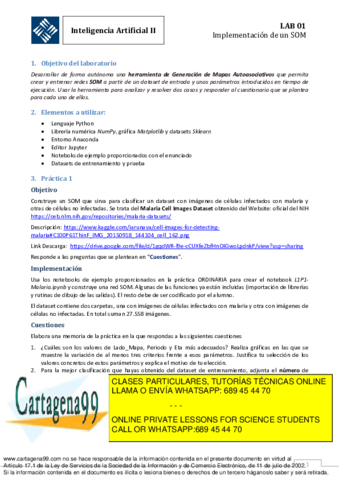 implementacion-de-un-som.pdf