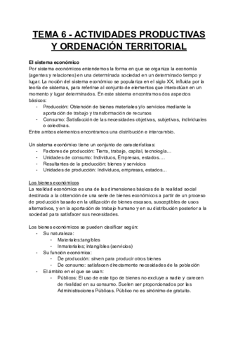 TEMA-6-ACTIVIDADES-PRODUCTIVAS-Y-ORDENACION-TERRITORIAL.pdf