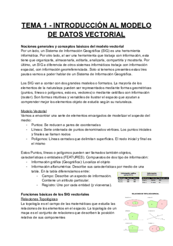 TEMA-1-INTRODUCCION-AL-MODELO-DE-DATOS-VECTORIAL.pdf