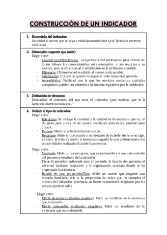 CONSTRUCCION-DE-UN-INDICADOR.pdf