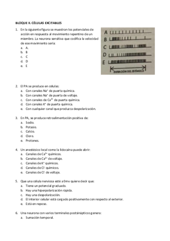 II-Celulas-excitables.pdf