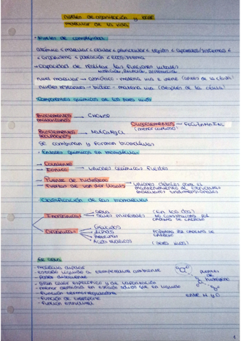 Base-molecular-de-la-vida.pdf