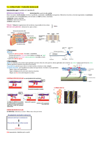 Fisiologia-humana-II.pdf