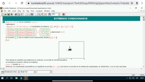 Ejercicios-con-Scientific-notebook-1.pdf