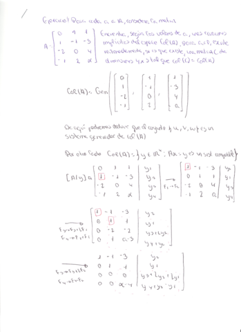 Escaner20210728-8.pdf